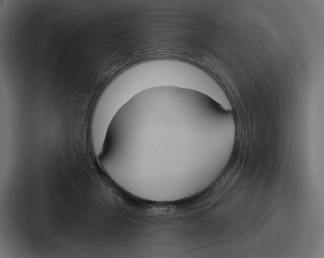 X0000086750415200705111659