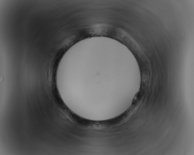 X0000086750416200705111659