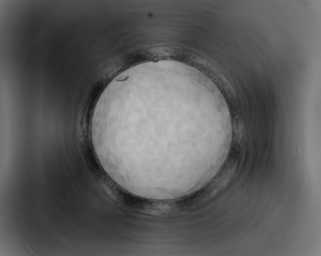 X0000086750418200705111659