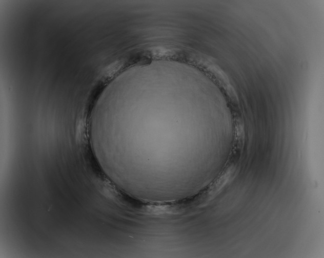 X0000086750419200705111659