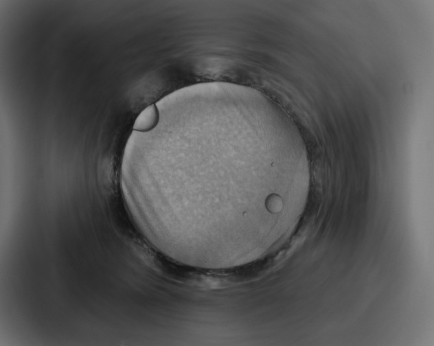 X0000086750420200705111659