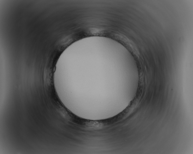 X0000086750421200705111659
