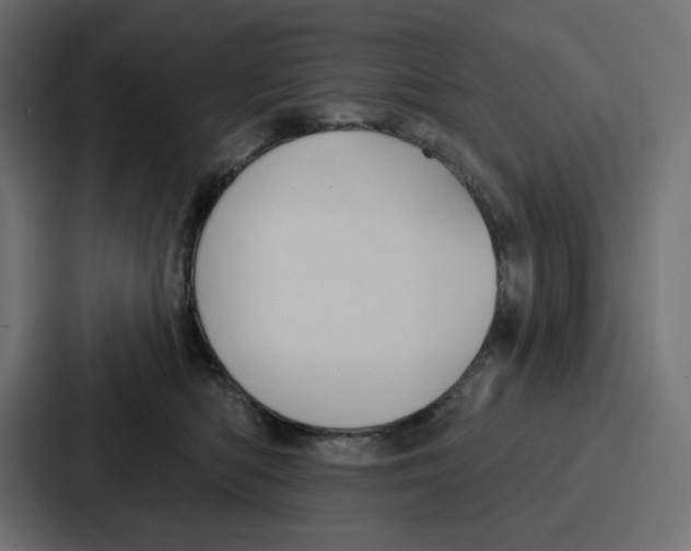X0000086750422200705111659