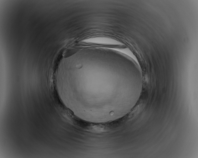 X0000086750423200705111659