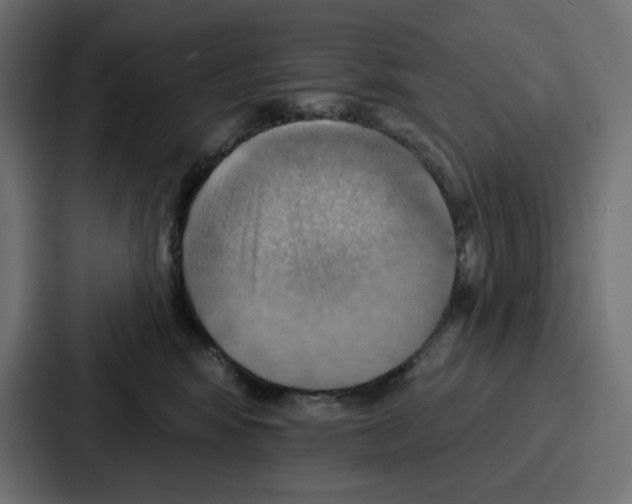 X0000086750424200705111659