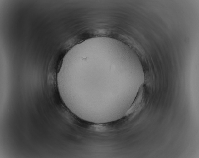 X0000086750425200705111659