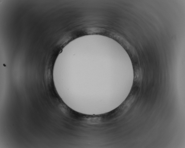 X0000086750426200705111659