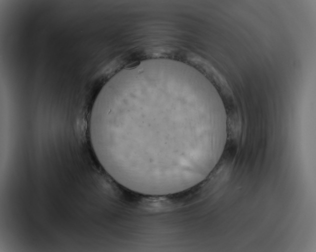 X0000086750427200705111659
