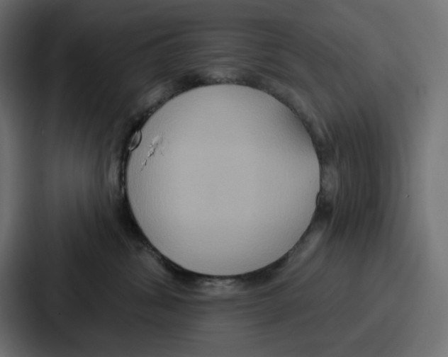X0000086750428200705111659