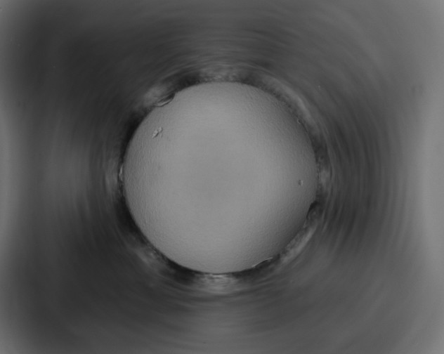 X0000086750429200705111659