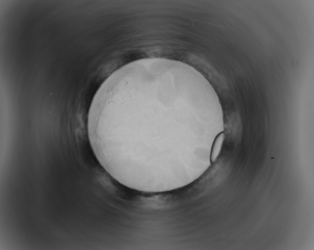 X0000086750430200705111659