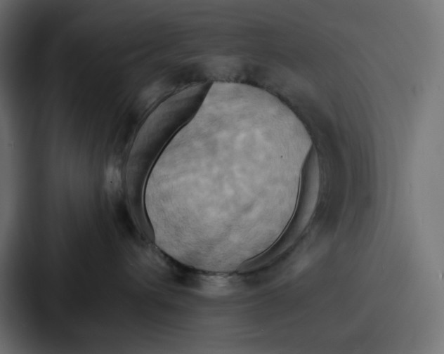X0000086750432200705111659