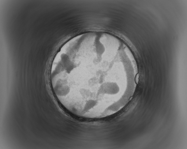 X0000086750433200705111658