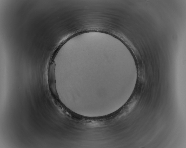 X0000086750434200705111658
