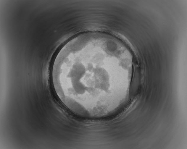 X0000086750435200705111658