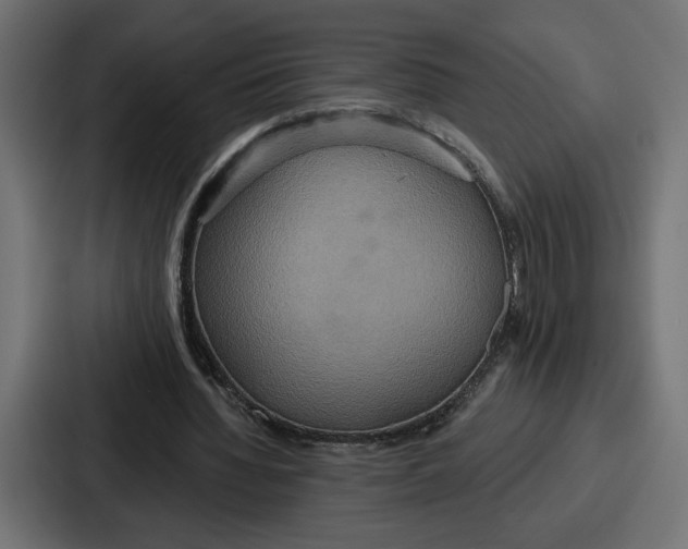 X0000086750436200705111658