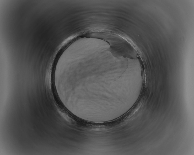 X0000086750438200705111658