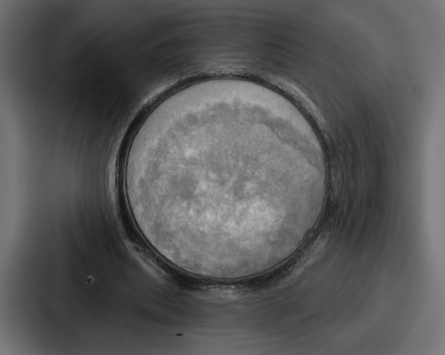 X0000086750439200705111658