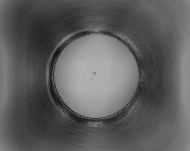 X0000086750440200705111658