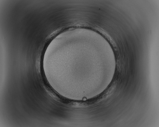 X0000086750442200705111658