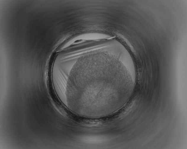 X0000086750443200705111658