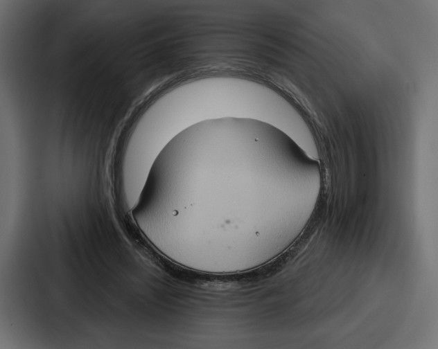 X0000086750444200705111658
