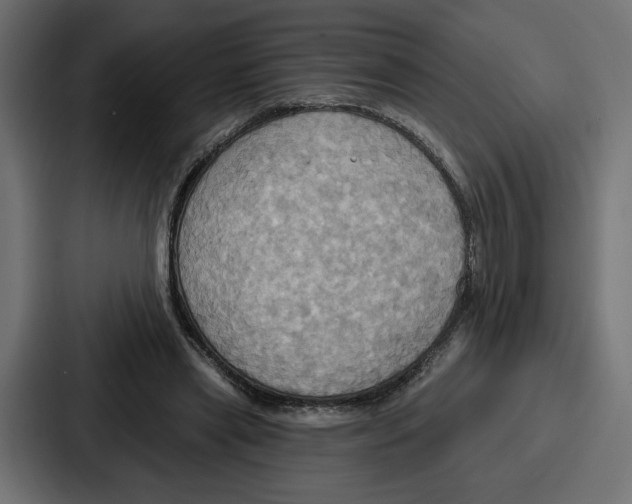X0000086750445200705111658