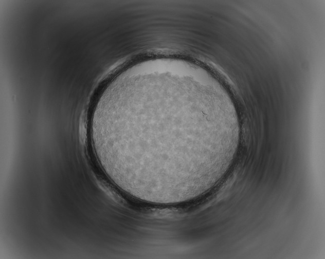 X0000086750446200705111658