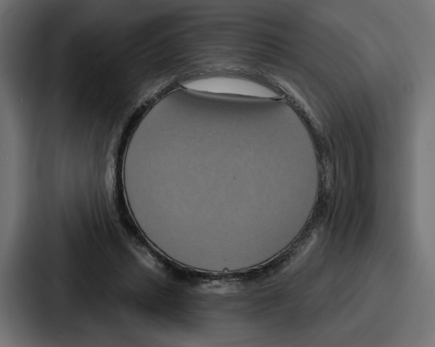 X0000086750447200705111658