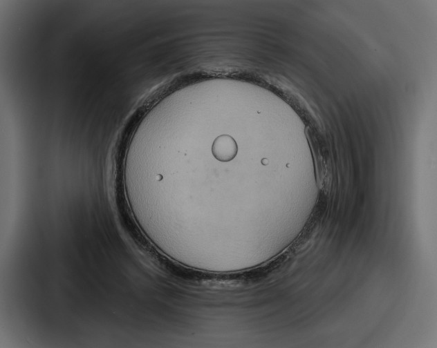 X0000086750448200705111658