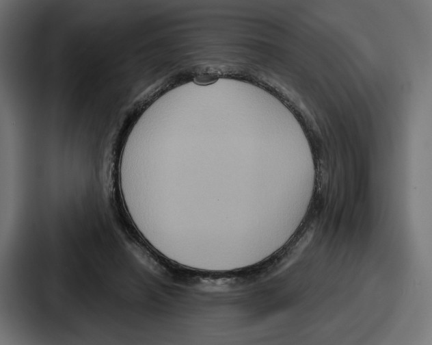 X0000086750450200705111658