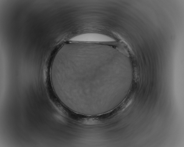 X0000086750451200705111658