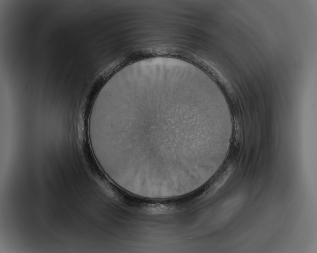 X0000086750453200705111658