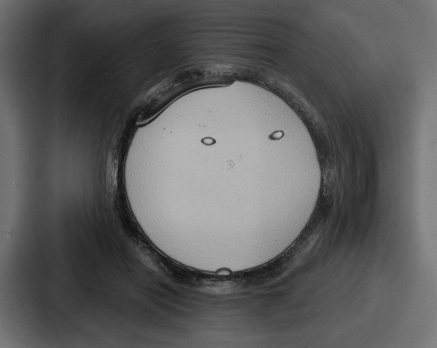 X0000086750454200705111658