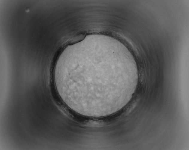 X0000086750455200705111658