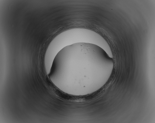 X0000086750456200705111658