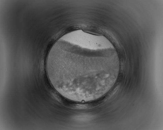 X0000086750457200705111658