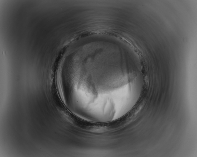 X0000086750458200705111658