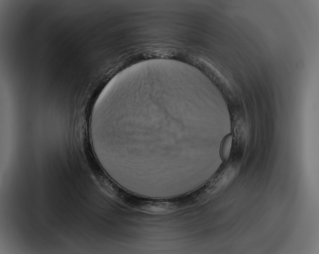 X0000086750459200705111658