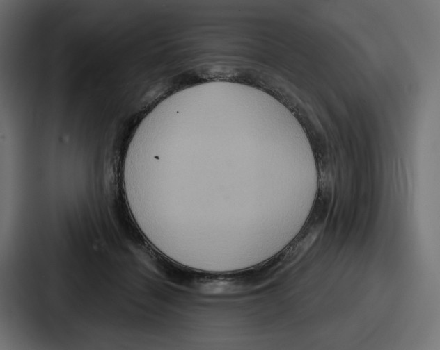 X0000086750460200705111658