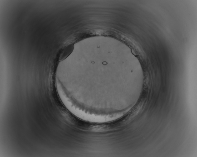 X0000086750461200705111658
