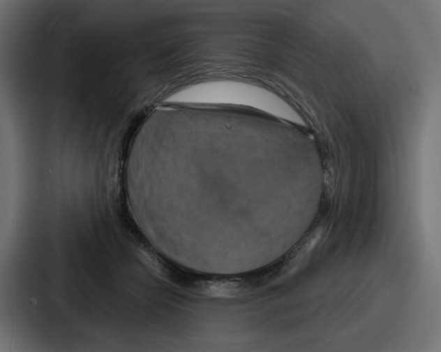 X0000086750462200705111658