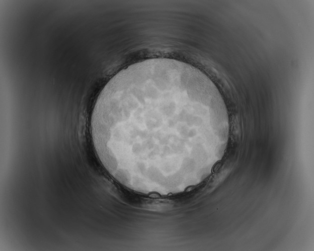 X0000086750463200705111658