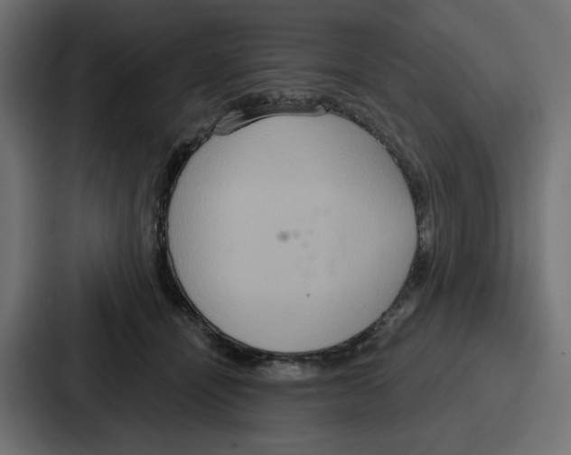 X0000086750464200705111658