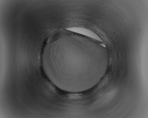 X0000086750465200705111658