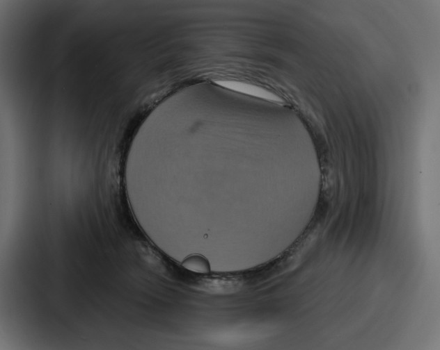 X0000086750466200705111658