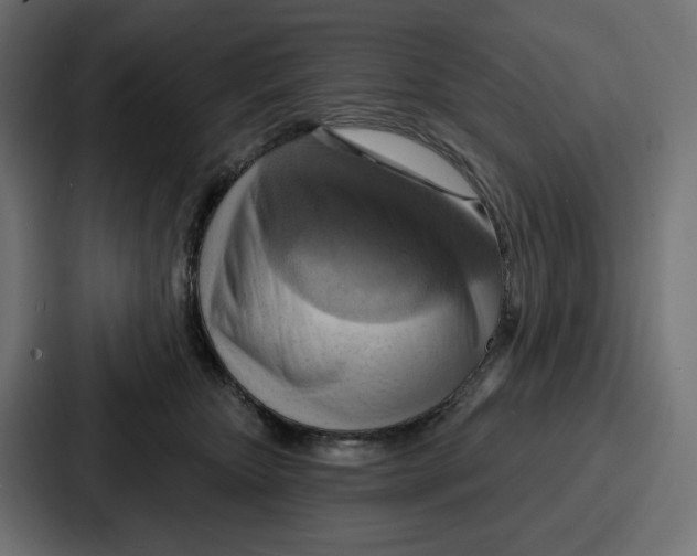X0000086750467200705111658