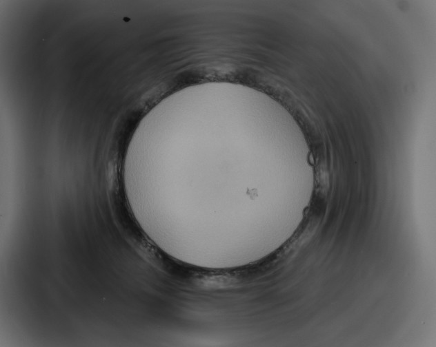 X0000086750468200705111658