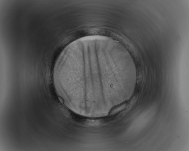 X0000086750469200705111658
