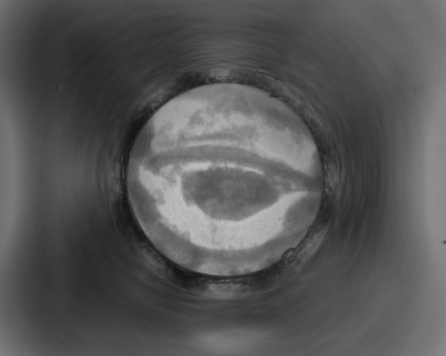 X0000086750470200705111658